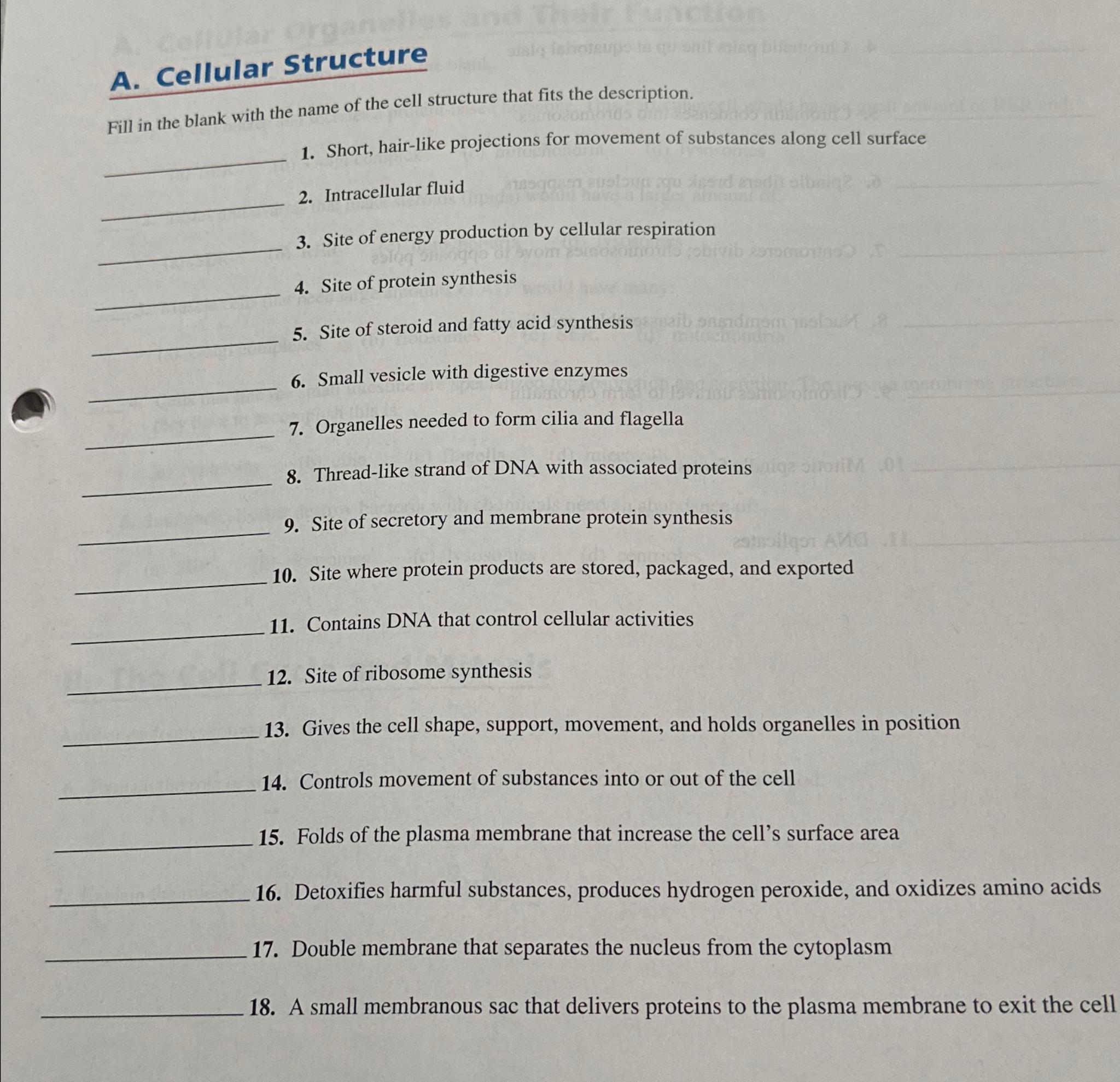Solved A. ﻿Cellular StructureFill in the blank with the name | Chegg.com