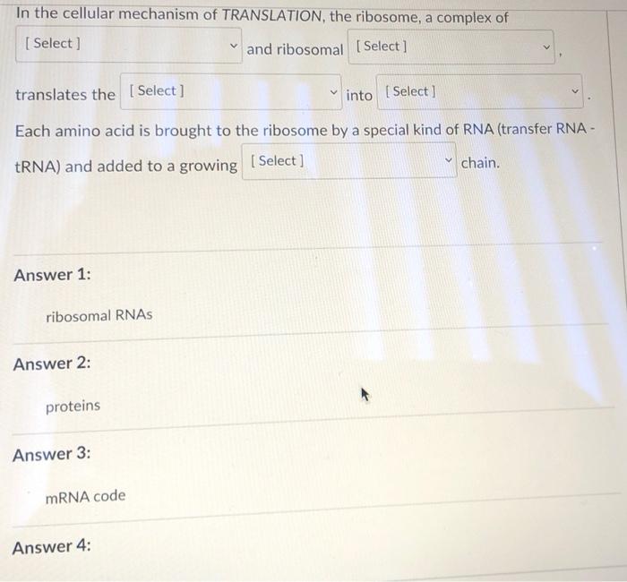 Solved Choose all statements that are true about RNA. The