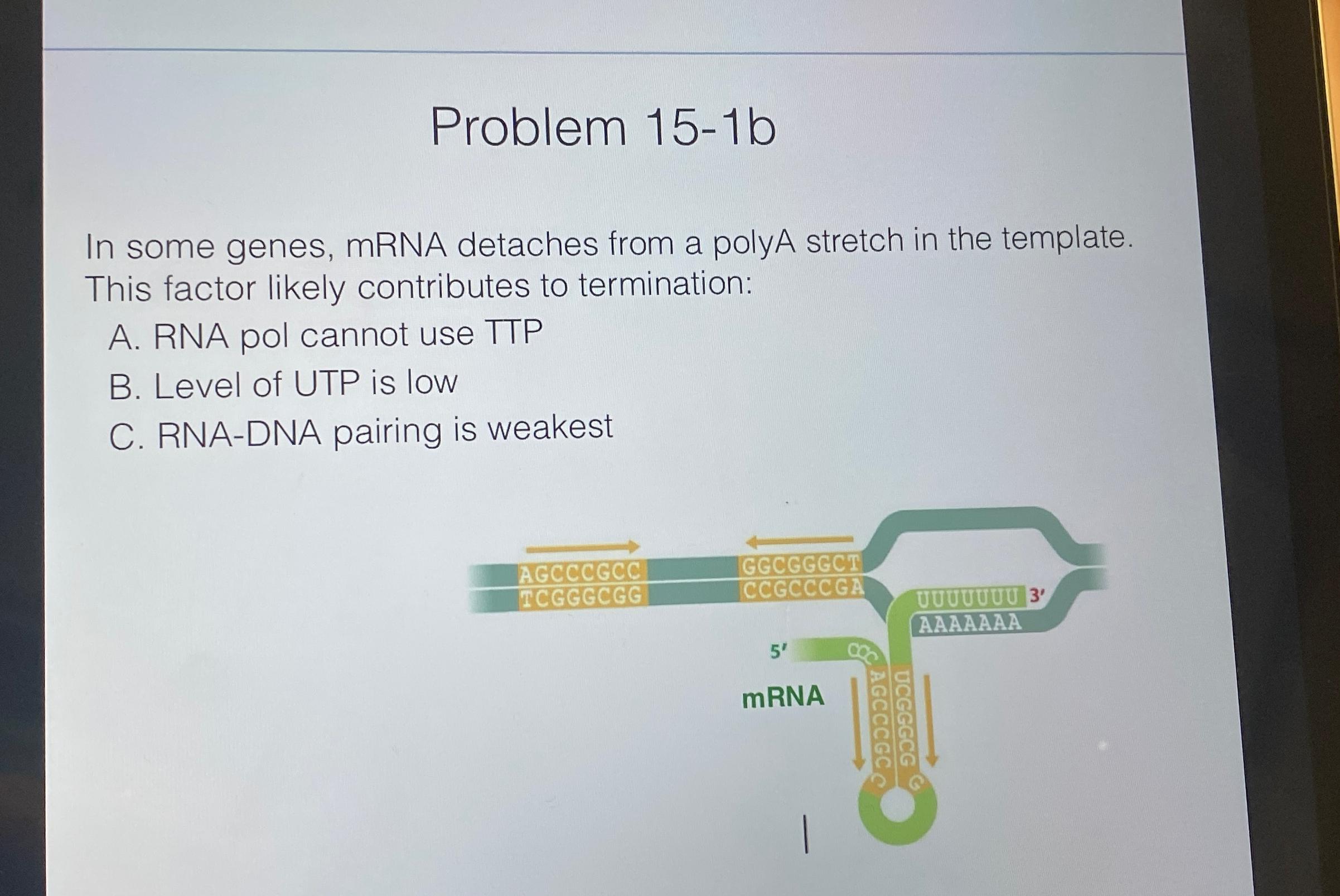 Solved Problem 15-1bIn some genes, mRNA detaches from a | Chegg.com