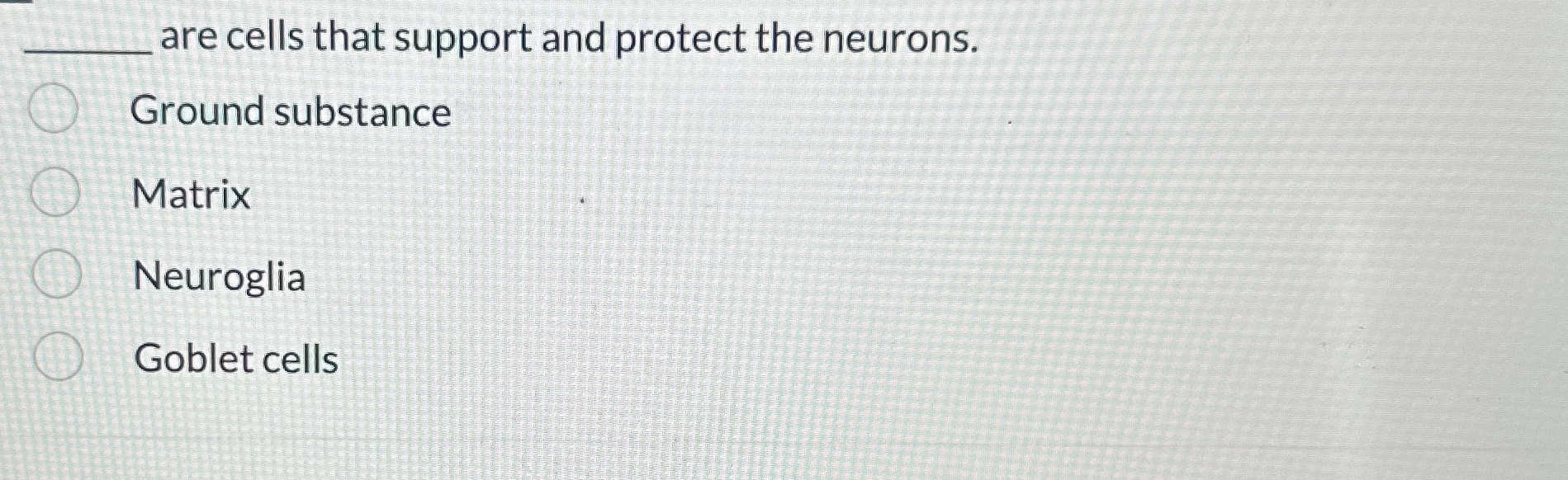 Solved q, ﻿are cells that support and protect the | Chegg.com