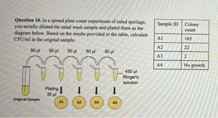 Solved Question 10. In a spread plate count experiment of | Chegg.com