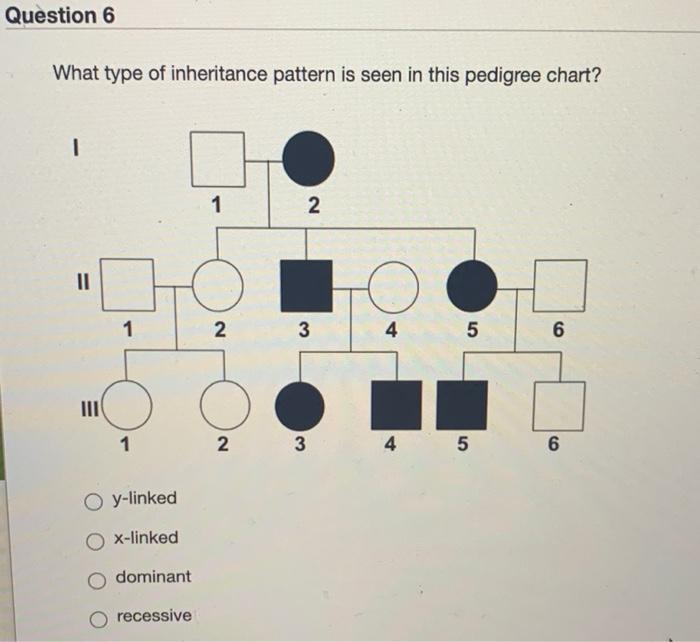 Solved Question 6 What type of inheritance pattern is seen | Chegg.com