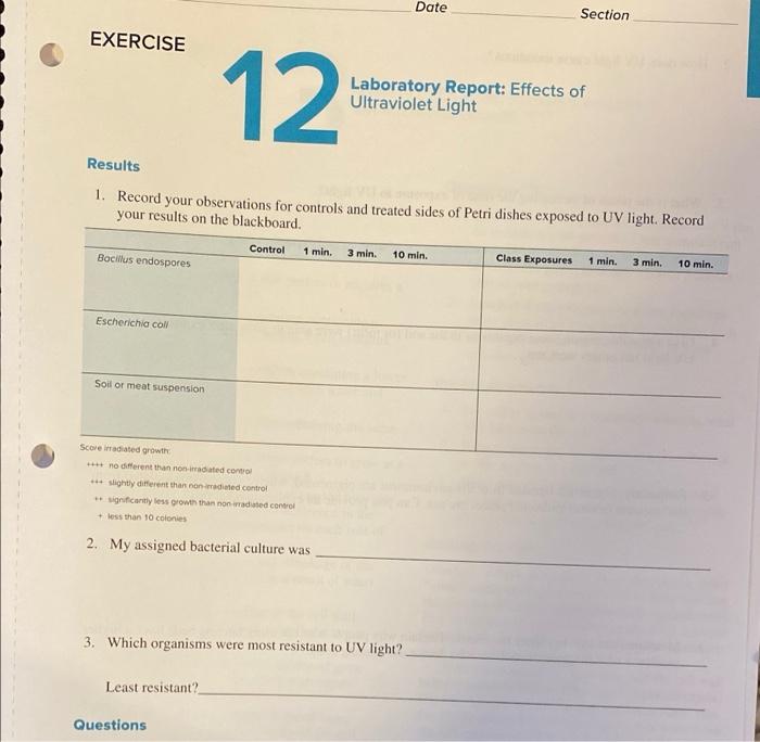 Solved EXERCISE 12 Laboratory Reports Effects of Ultraviolet | Chegg.com