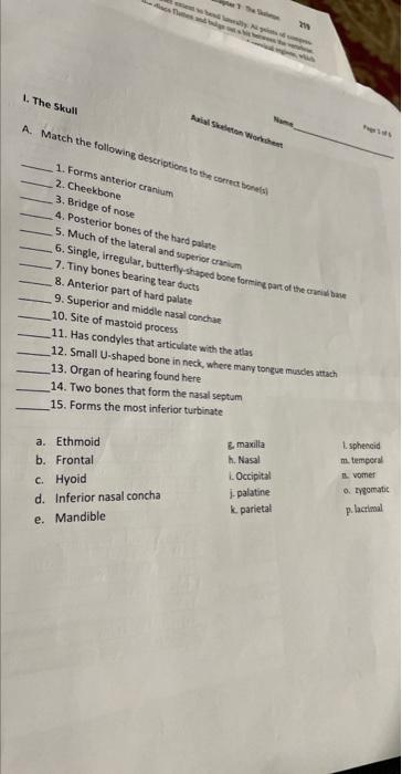 1. The skull A. Match the following descriptions to | Chegg.com