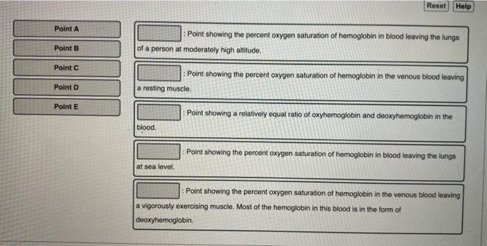 Solved Match the location on the oxygen-hemogiobin | Chegg.com
