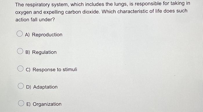 Solved The respiratory system, which includes the lungs, is | Chegg.com