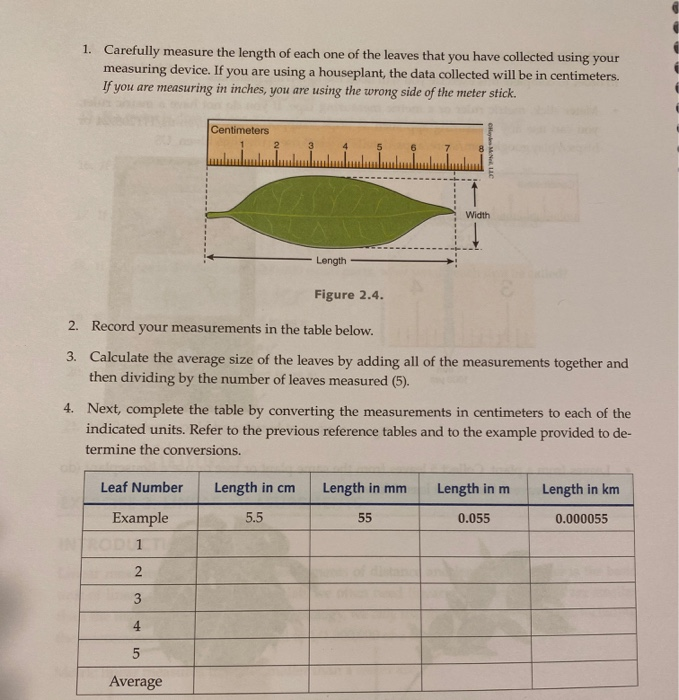 1. Carefully Measure The Length Of Each One Of The | Chegg.com