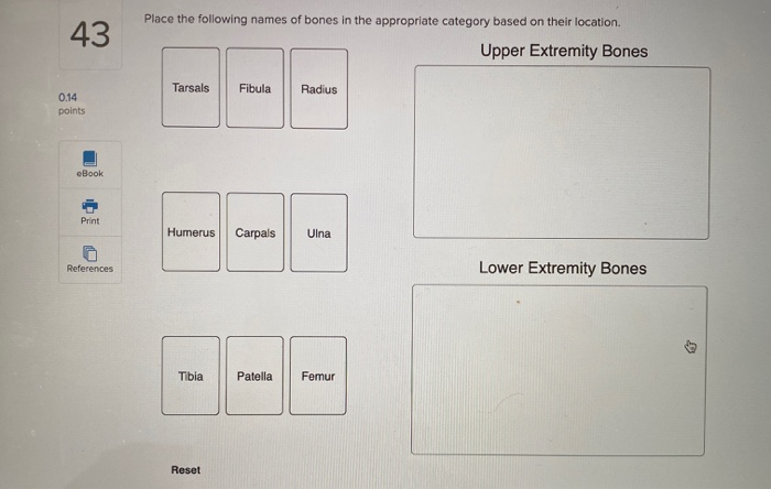 Solved 43 Place the following names of bones in the | Chegg.com