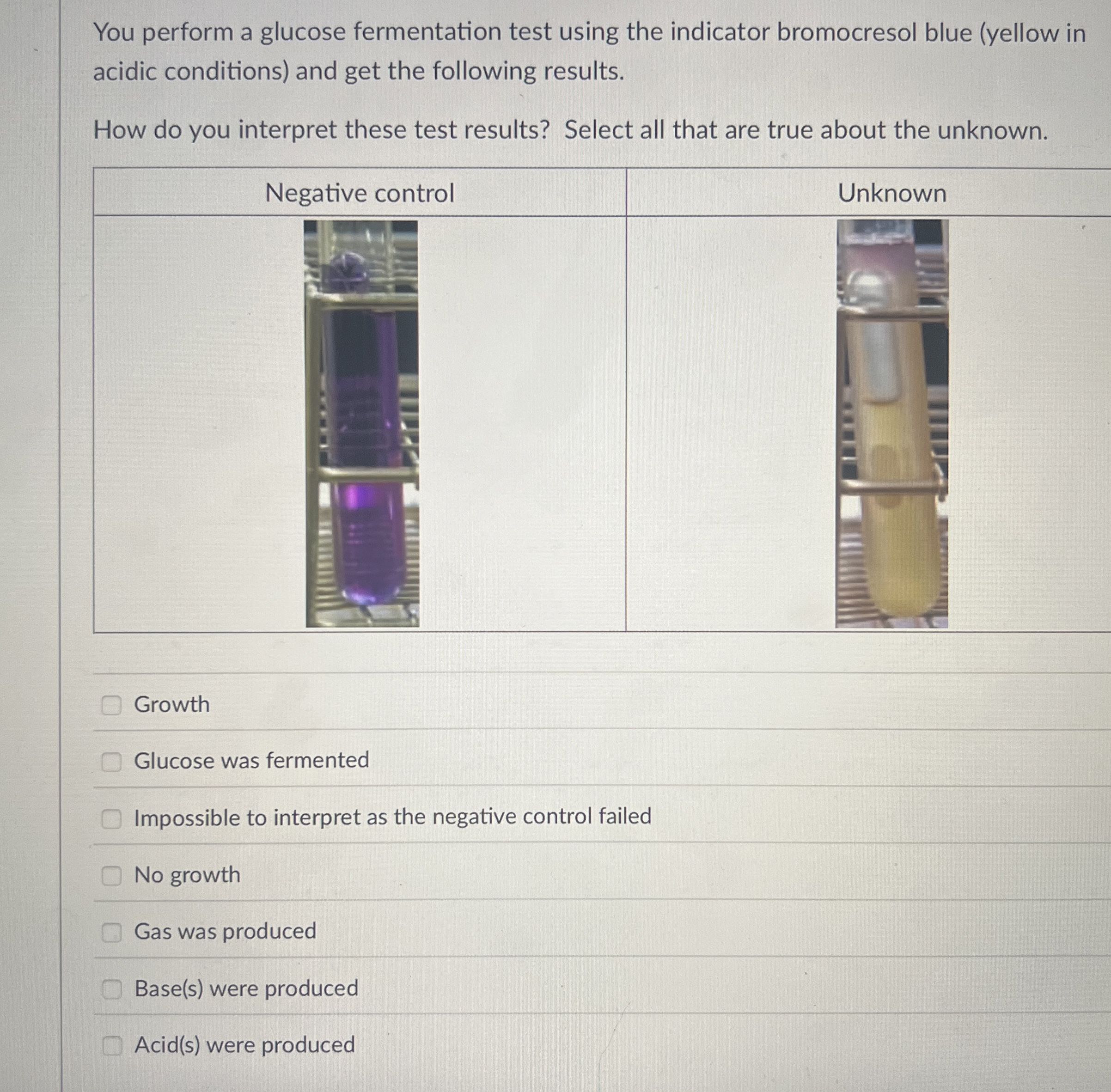 Solved You perform a glucose fermentation test using the | Chegg.com