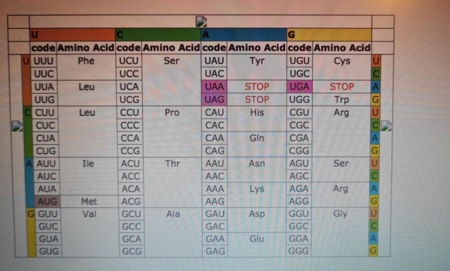 Solved The table shows the partial sequences of a wild type | Chegg.com