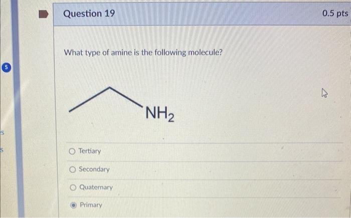 Solved What type of amine is the following molecule? | Chegg.com