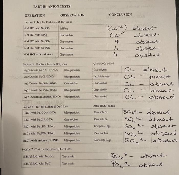 Solved Unknown Sample # XY2 PART A: CATION TESTS CONCLUSION | Chegg.com