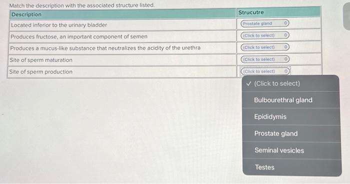 Solved Match the description with the associated structure | Chegg.com