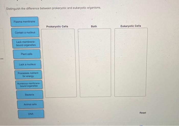 Solved Distinguish the difference between prokaryotic and | Chegg.com