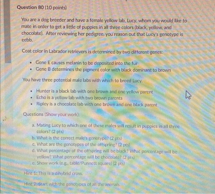 Solved Question 79 (6 points) No one picked my favorite | Chegg.com