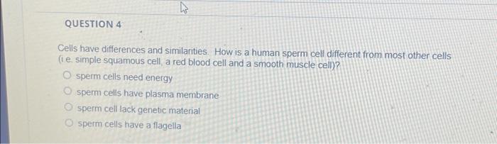 HOW IS A SPERM CELL DIFFERENT FROM OTHER CELLS visual data 4