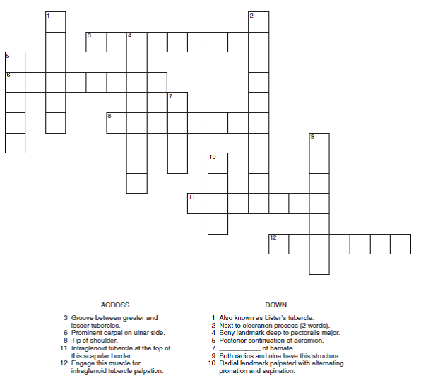 Use the clues to complete the crossword puzzle Chegg com