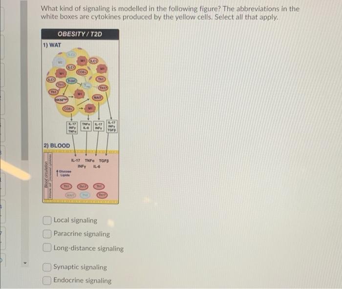 Solved What kind of signaling is modelled in the following | Chegg.com