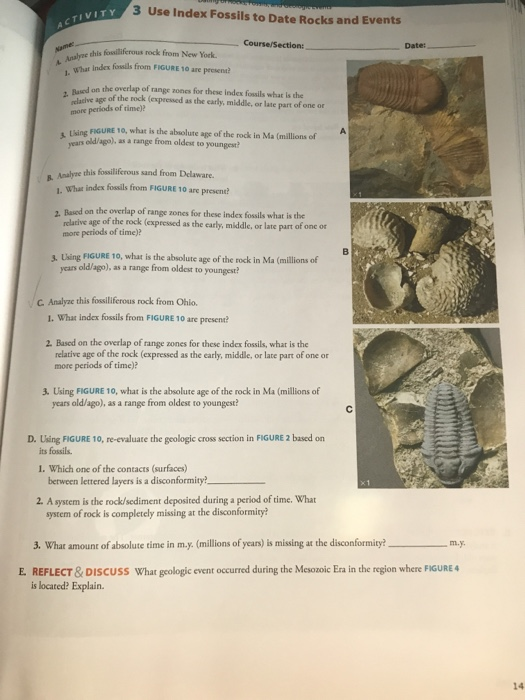 Solved VITY 3 Use Index Fossils to Date Rocks and Events