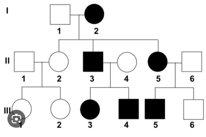 The mode of inheritance I chose was X-linked | Chegg.com