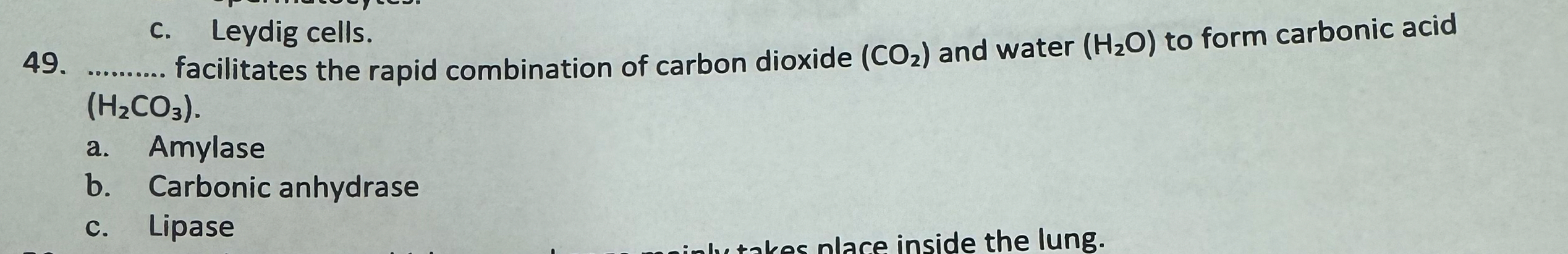Solved q, ﻿facilitates the rapid combination of carbon | Chegg.com