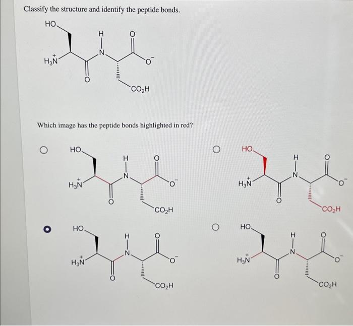 Classify the structure and identify the peptide bonds.
Which image has the peptide bonds highlighted in red?