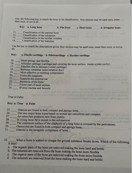 Solved Bone And Cartilage Tissue Worksheet Use The Following 