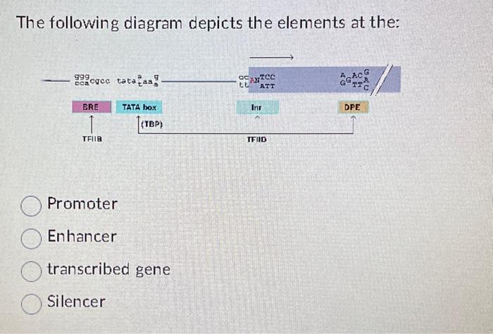 TATA Box is situated: Upstream of the transcription | Chegg.com