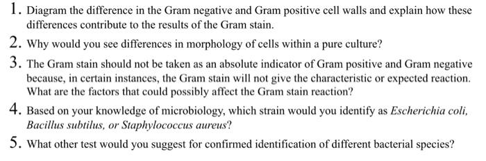 Solved 1. Diagram the difference in the Gram negative and | Chegg.com