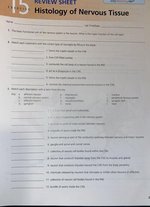 Solved using Mastering ABPM SHEE * Histology of Nervous