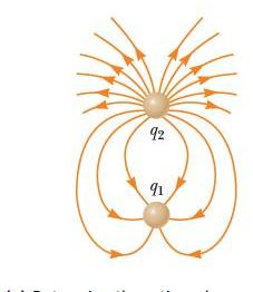 Solved The figure below shows the electric field lines for | Chegg.com