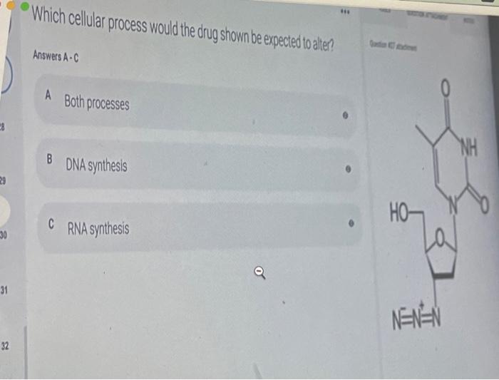 Solved Which cellular process would the drug shown be | Chegg.com