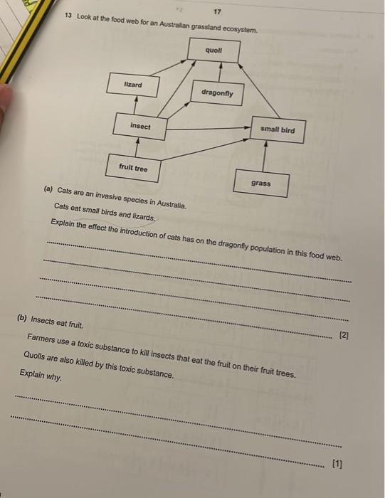 Solved 17 13 Look At The Food Web For An Australian | Chegg.com