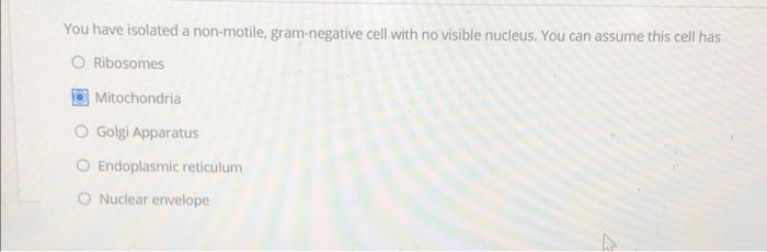 Solved You have isolated a non-motile, gram-negative cell | Chegg.com