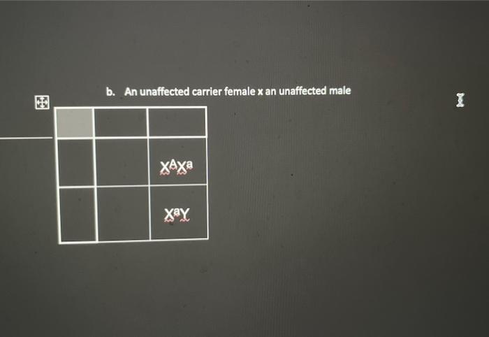 Solved (4 Pts) The Following Punnett Squares Have Been | Chegg.com