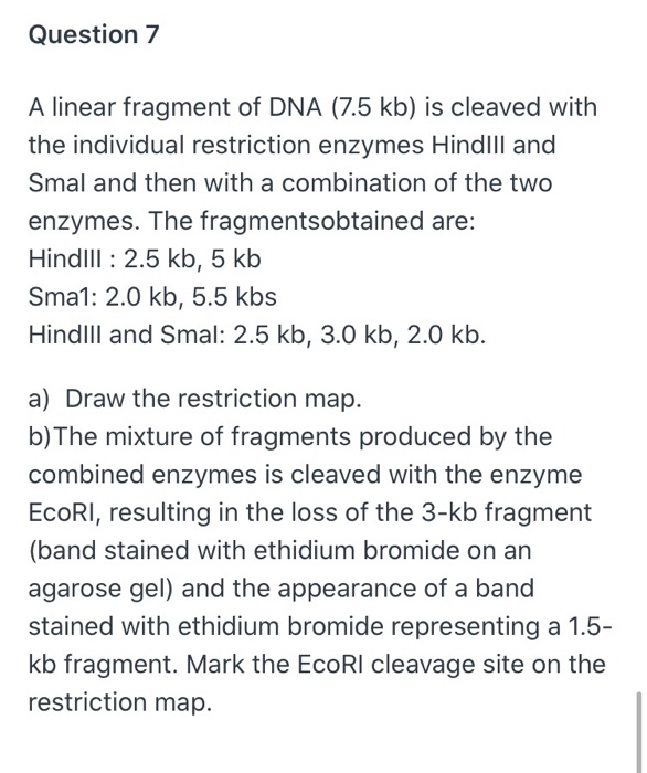 Solved Question 7 A linear fragment of DNA (7.5 kb) is | Chegg.com