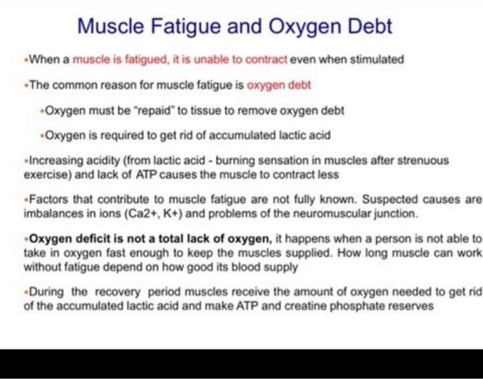 What Causes Muscle Fatigue