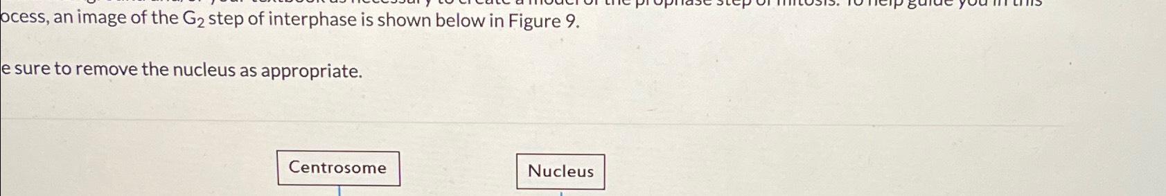 Solved ocess, an image of the G2 ﻿step of interphase is | Chegg.com