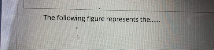 Solved The following figure represents the...... | Chegg.com