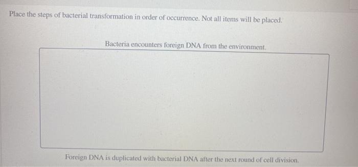 Solved Place the steps of bacterial transformation in order | Chegg.com