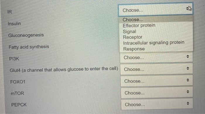 Solved Using the insulin signaling pathway diagram below, | Chegg.com