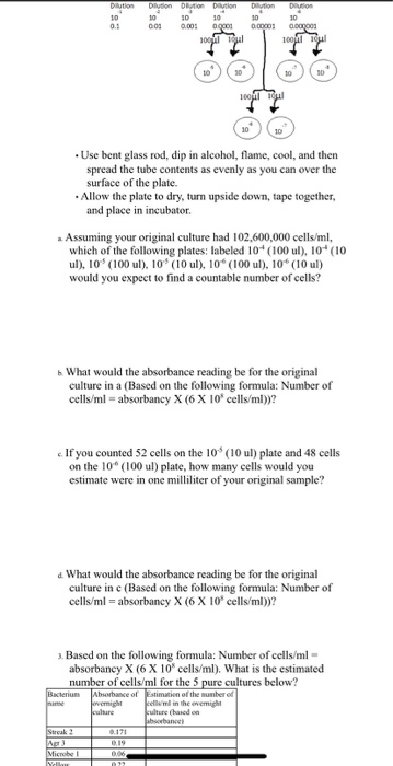 Microbe Math LW5_microbiology lab 5_ exercise on counting | Chegg.com