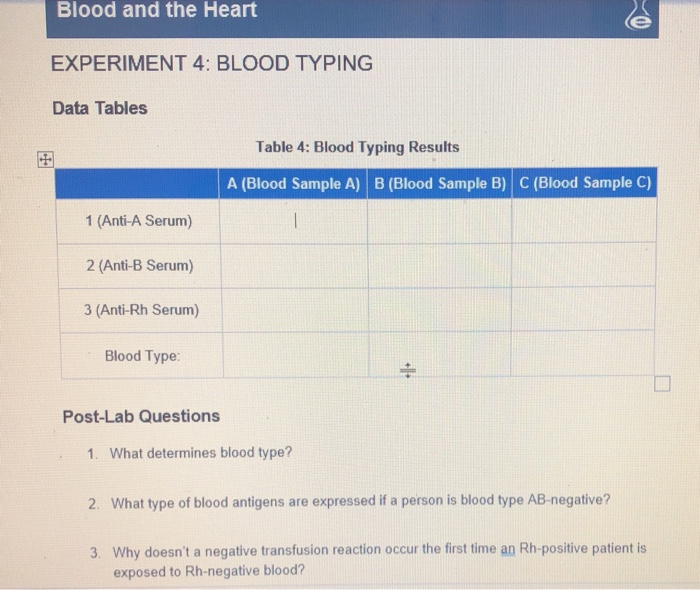 experiment 4 blood typing