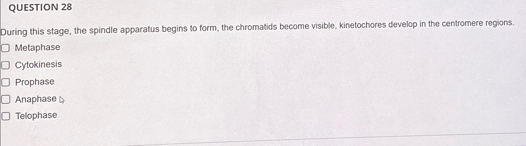 Solved QUESTION 28During this stage, the spindle apparatus | Chegg.com