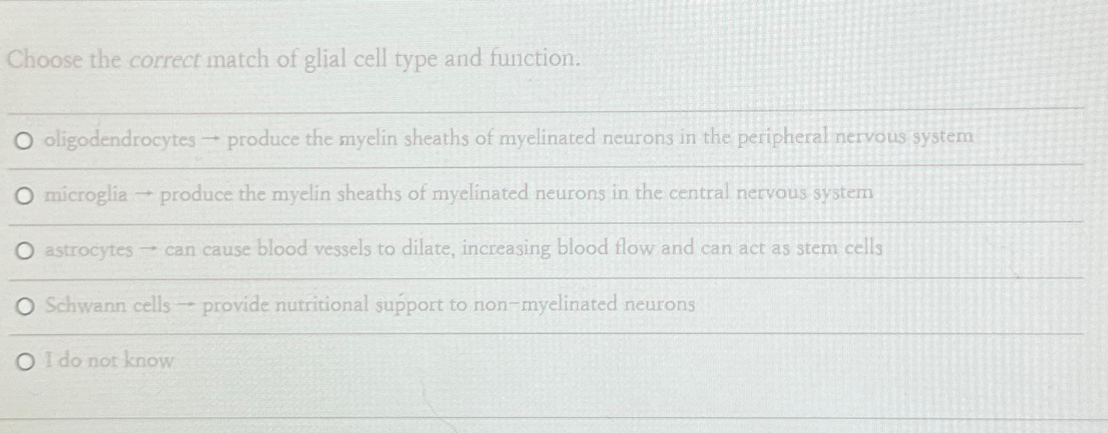 Solved Choose the correct match of glial cell type and