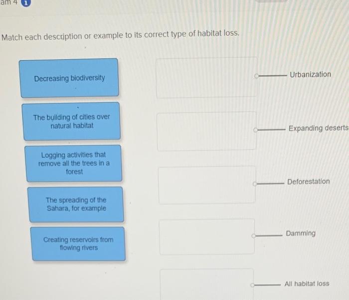 solved-am-4-match-each-description-or-example-to-its-correct-chegg