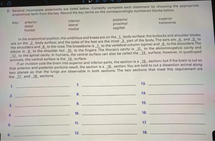 solved-2-several-incomplete-statements-are-listed-below-chegg