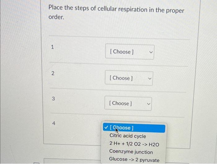 Solved Place the steps of cellular respiration in the proper | Chegg.com