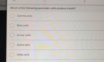 View of Solved Which of the following pancreatic cells produce | Chegg.com