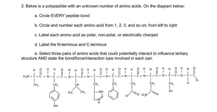 Solved 3. Below Is A Polypeptide With An Unknown Number Of | Chegg.com